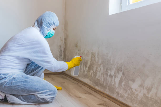 Licensed Crawl Space Mold Remediation service in Kearny, NJ - 24 Hour Mold Removal