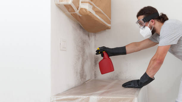 Professional Crawl Space Mold Remediation technician working in Kearny, NJ