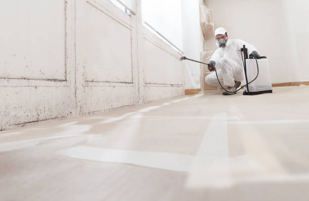24/7 Emergency Crawl Space Mold Remediation experts in Kearny, NJ