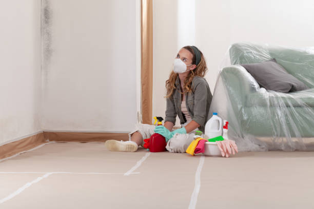 Reliable Crawl Space Mold Remediation contractor in Kearny, NJ by 24 Hour Mold Removal